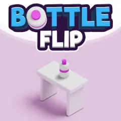 Play Game Bottle Flip