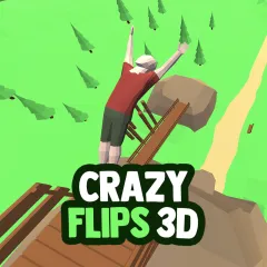 Play Crazy Flips 3D now!