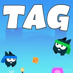 Play Game Tag Game