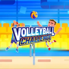 Volleyball Challenge